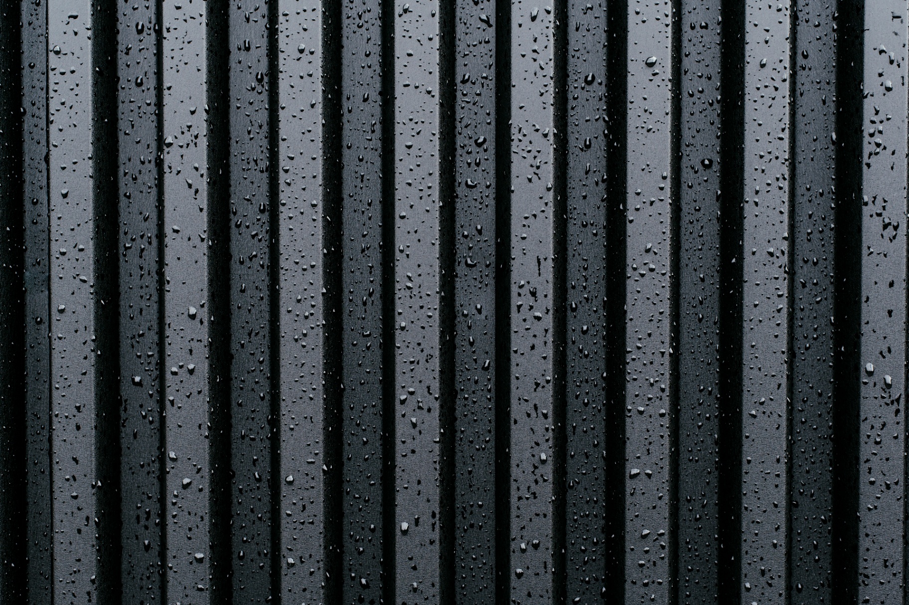 Gros plan du profil avec gouttes de pluie